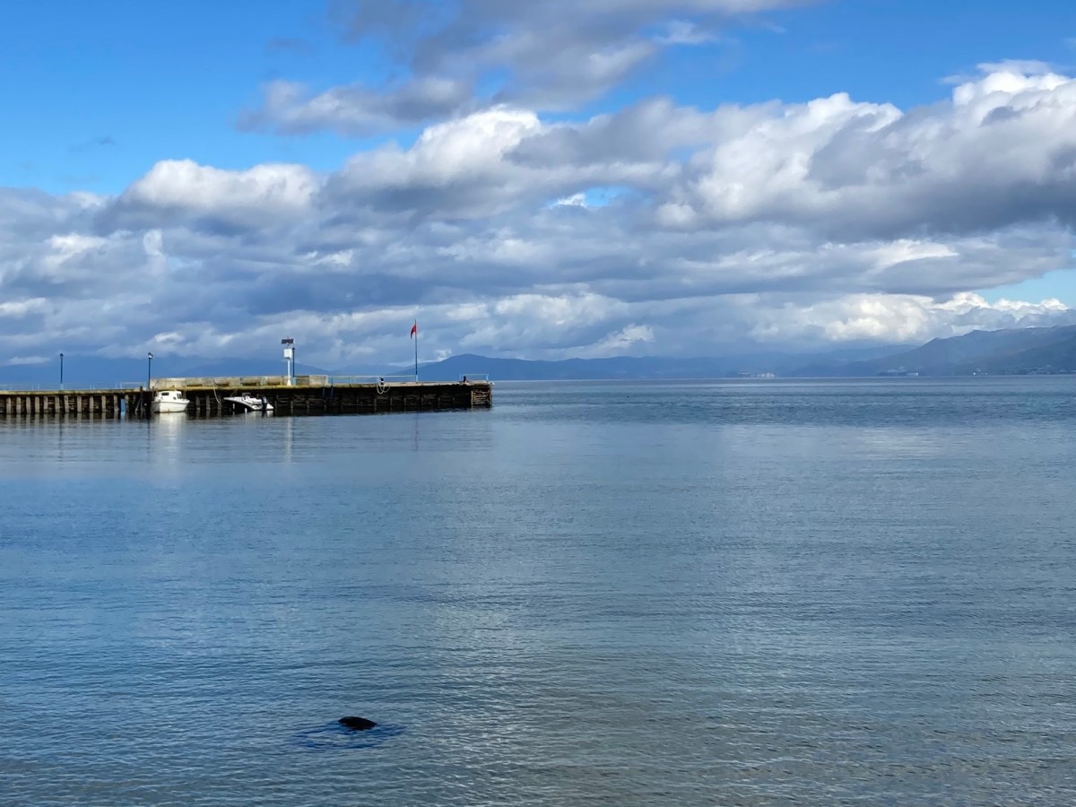 Faleminderit Pogradec!